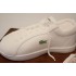 Lacoste Trainer Birthday Cake