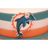 Miami Dolphins Birthday Cake