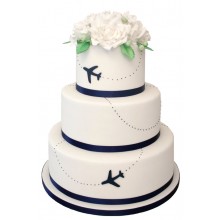 Aeroplane Wedding Cake