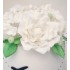 Aeroplane Wedding Cake